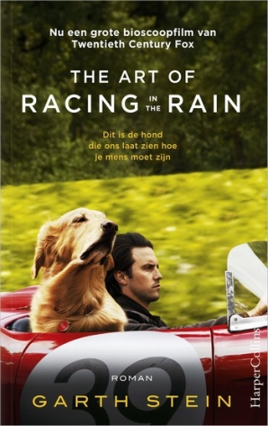 The Art of Racing in the Rain