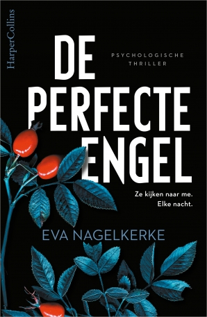 De perfecte engel Paperback  door Eva Nagelkerke