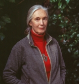 Jane Goodall - image