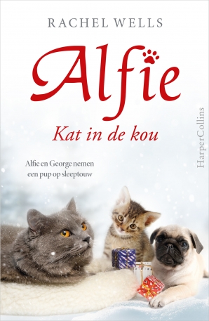 Alfie - Kat in de kou Paperback  door Rachel Wells