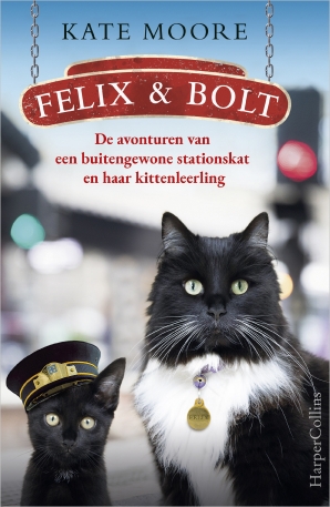 Felix & Bolt Paperback  door Kate Moore