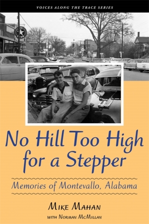 No Hill Too High for a Stepper