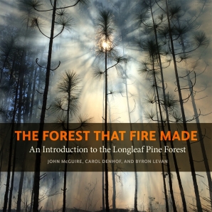 The Forest That Fire Made